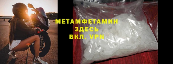 прущие грибы Нягань