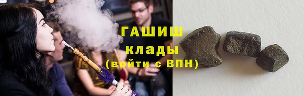 прущие грибы Нягань