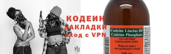 прущие грибы Нягань