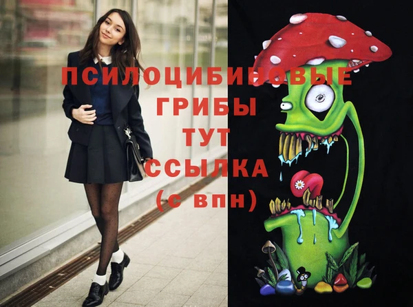 МДПВ Кизел