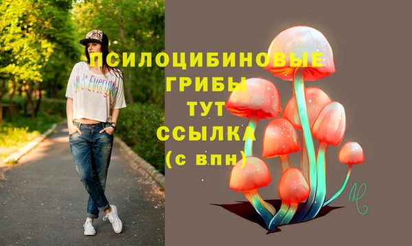 mdpv Няндома