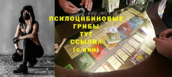 mdpv Няндома