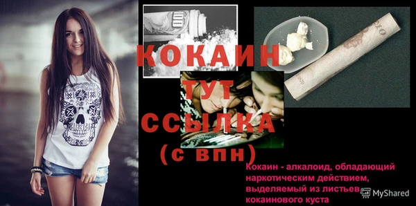 mdpv Няндома